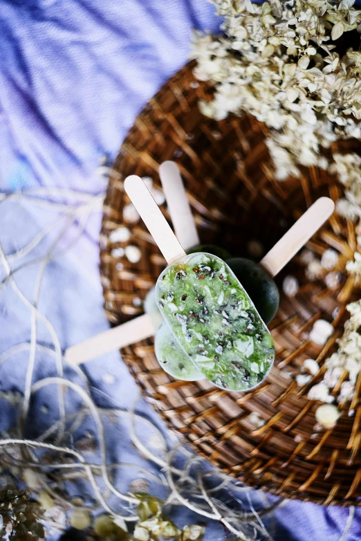 popsicles on sticks in the air, next to dried herbs