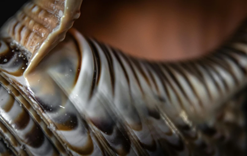 the top of an intricate ceramic bowl with drops of liquid