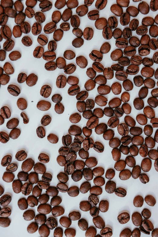 a bunch of coffee beans are laying on a table