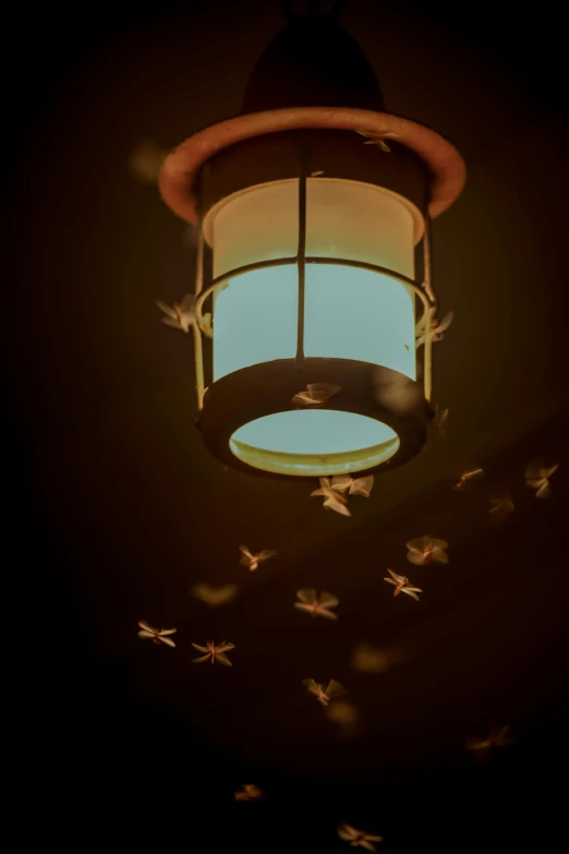 a lantern lit up and filled with lots of flying birds