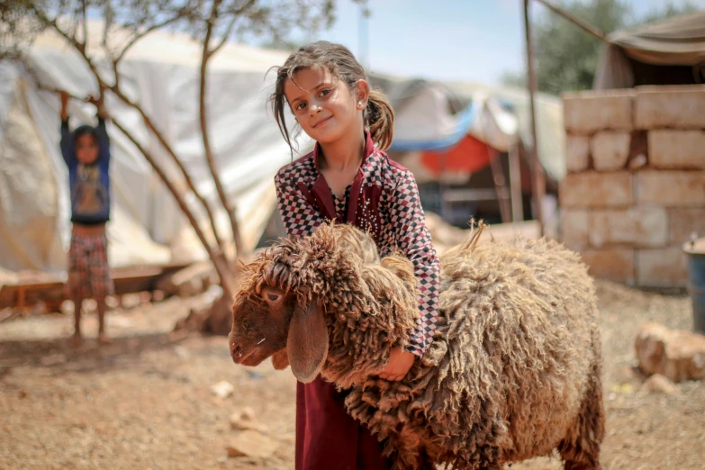 a girl holding on to a gy brown sheep