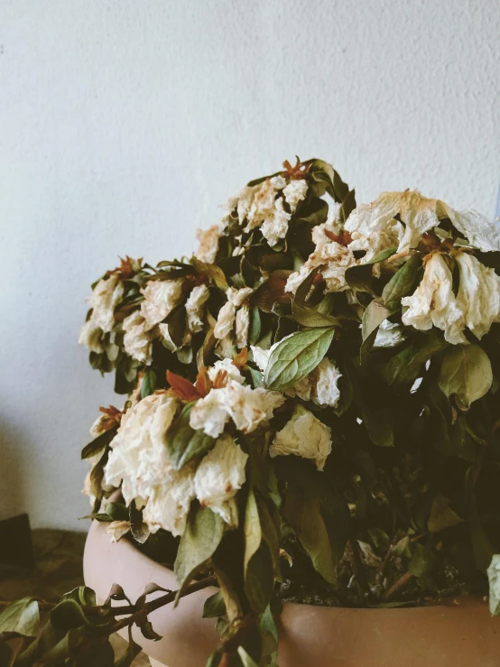 the large flower arrangement is in a pot