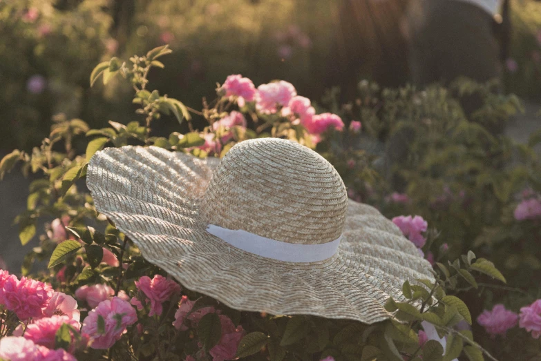 a straw hat is pictured in the middle of pink flowers