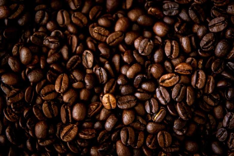 a dark pograph of coffee beans from top down