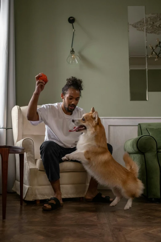 the man sits on the couch and plays with his dog