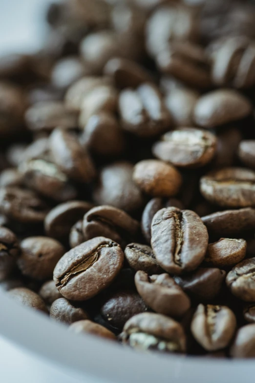 several roasted coffee beans in a white bowl