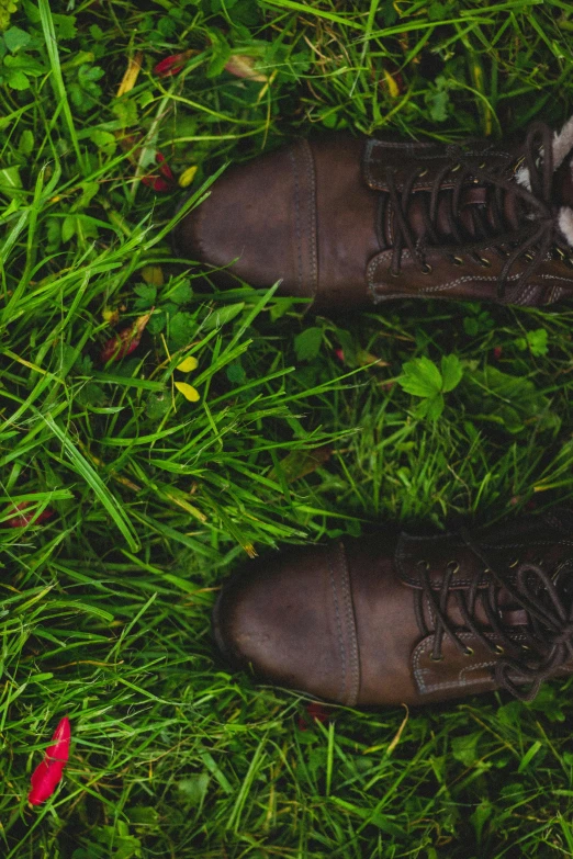 a pair of shoes are sitting on the ground in a grassy field