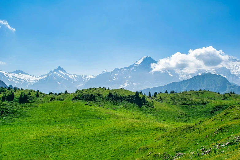 the mountains are covered in green grass