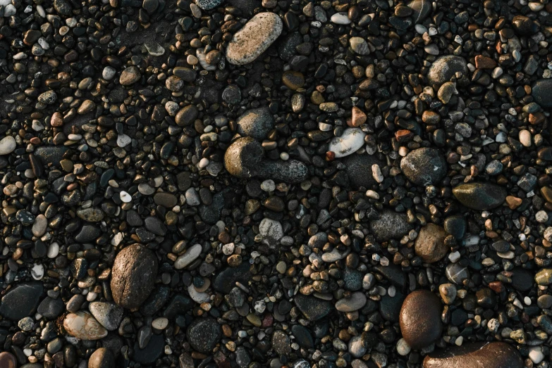 pebbles and gravel on the ground with a small patch in front of them