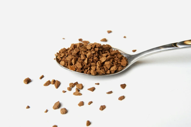 a spoon full of dog food with scattered seeds