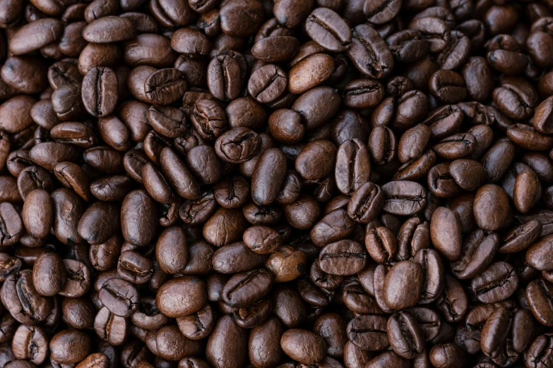there are several roasted coffee beans that is arranged in rows