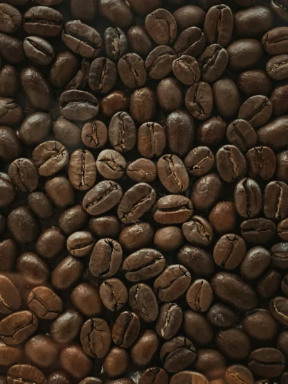 a coffee bean with coffee bean on top