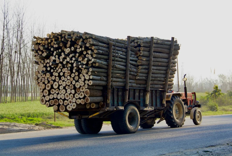 large truck carrying wood on road in open field