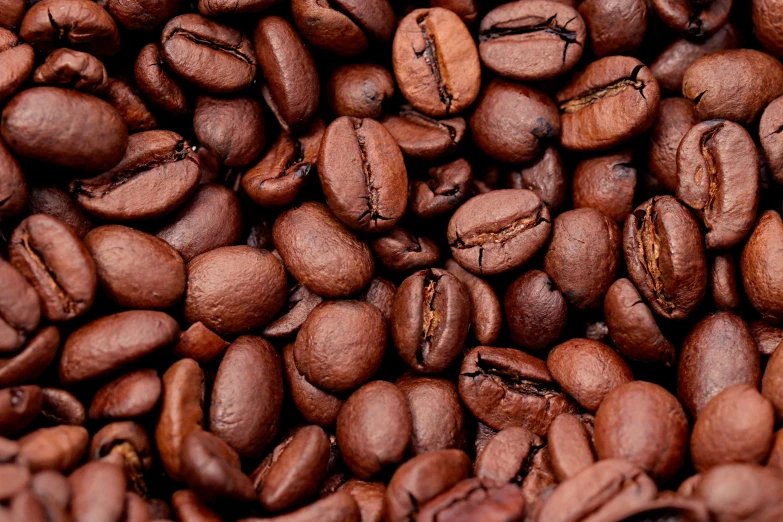 the coffee beans are brown and dark colored