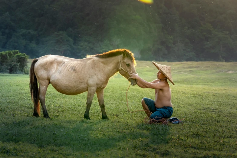 a man kneeling down to a horse in a field