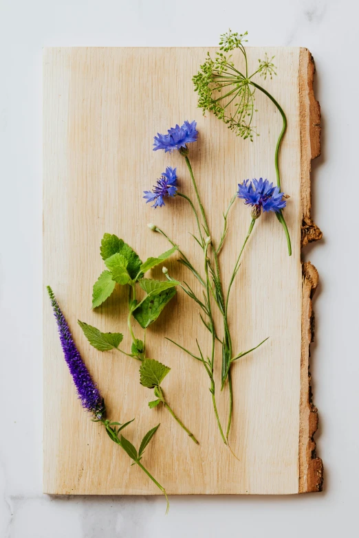 blue flowers sitting on top of a wooden  board