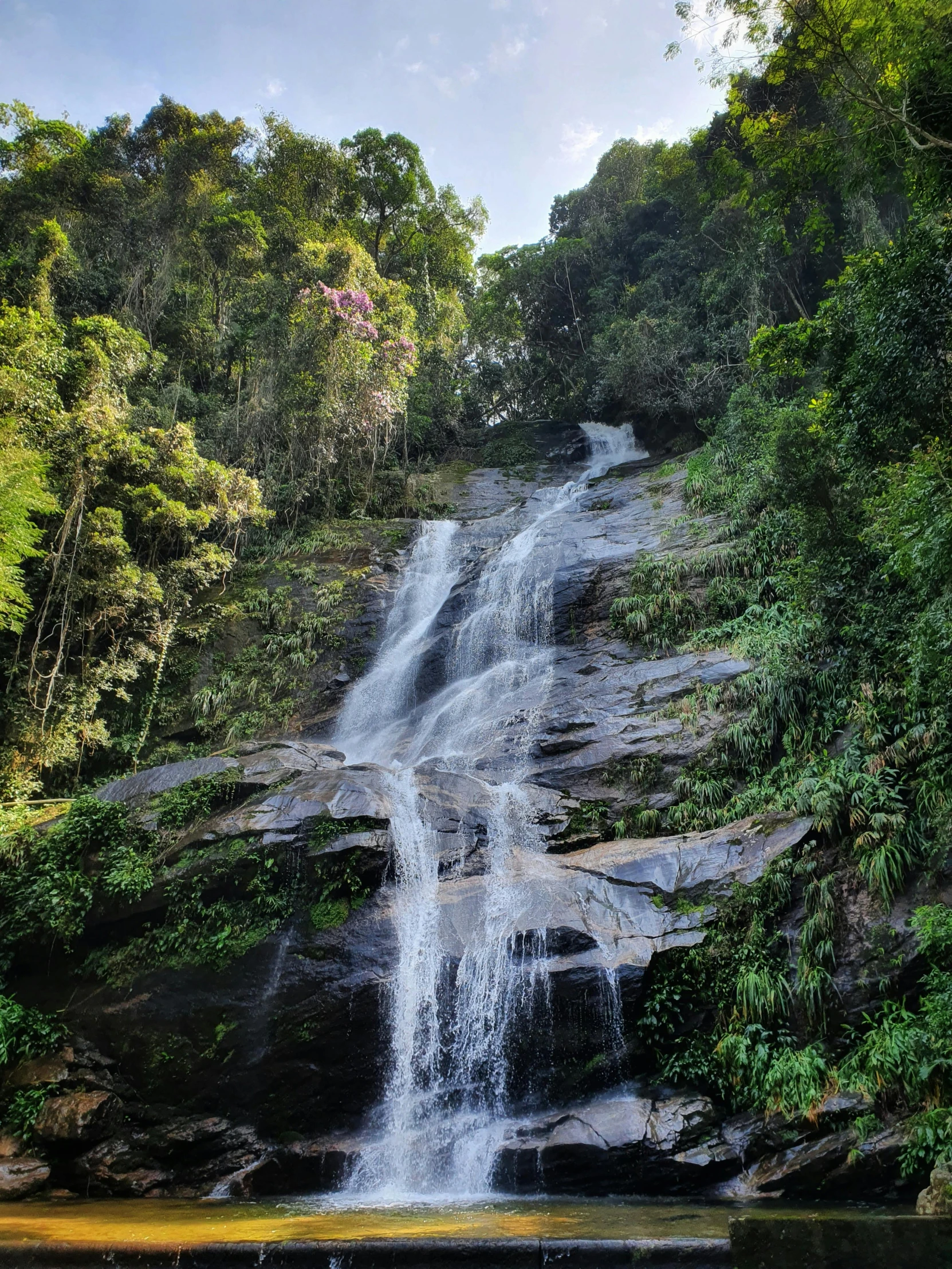 waterfall in a tropical area with clear skies