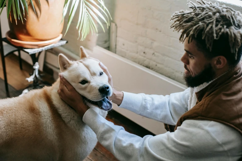 man grooming dog with dreadlocks on top of it's head