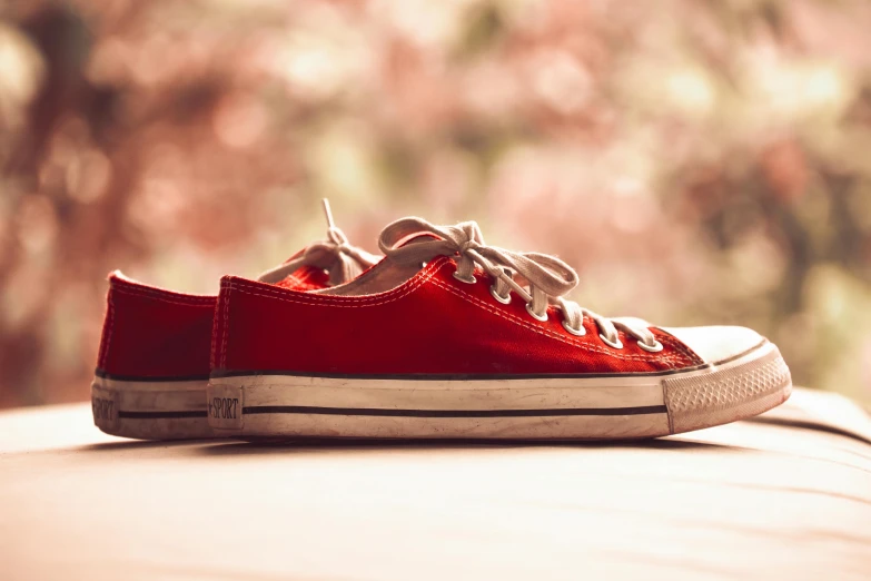 the red sneaker is on a bed with pink flowers