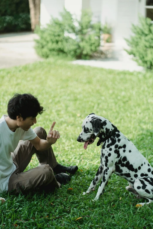 a man and a dalmatian sitting in the grass with each other