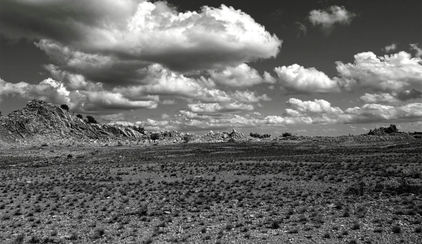 a distant desert scene in the spring time