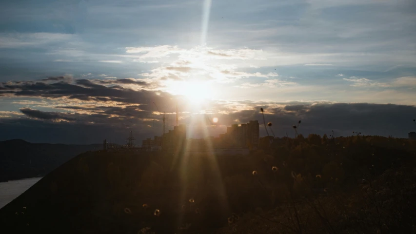 a bird sits on top of a hill at sunset