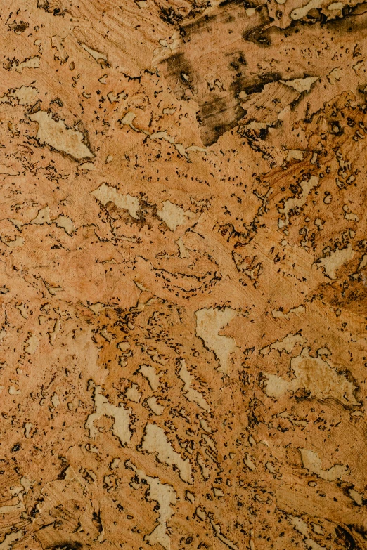 a large brown granite flooring area with lots of small rocks