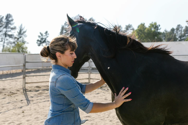 a woman with her hand on the face of a horse