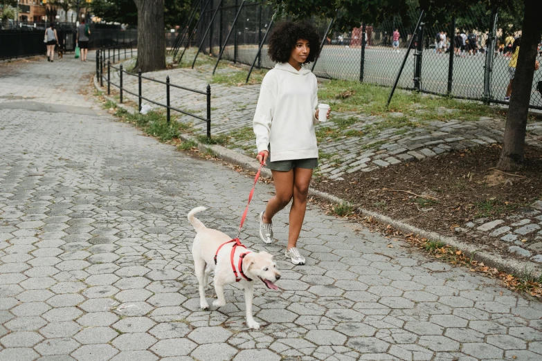 a woman with a white dog wearing a red leash walks down a city street