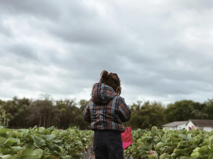 a person in a field with some plants