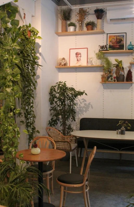 a living room with two chairs, tables, plants and other decor