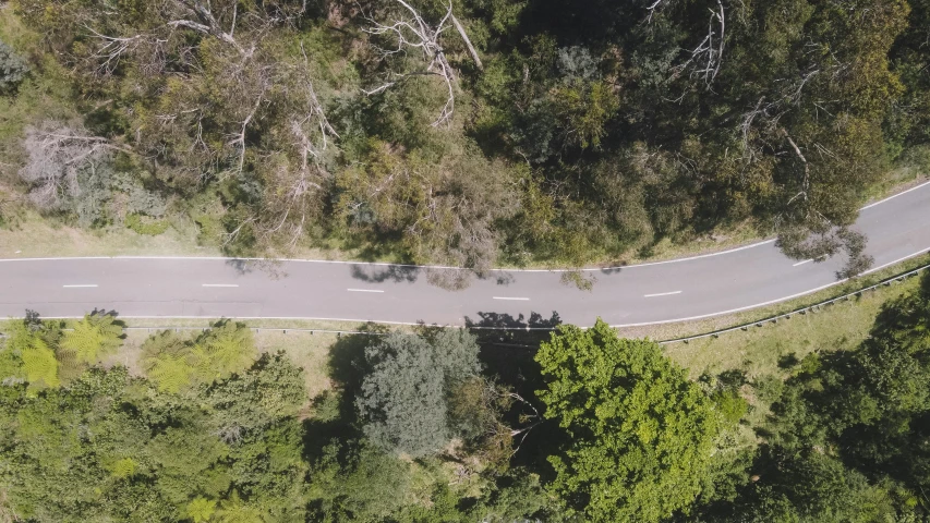 an aerial view of trees and roads in the woods