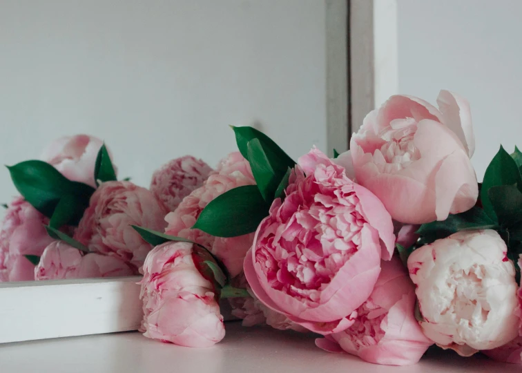 pink flowers are on a ledge in front of a mirror