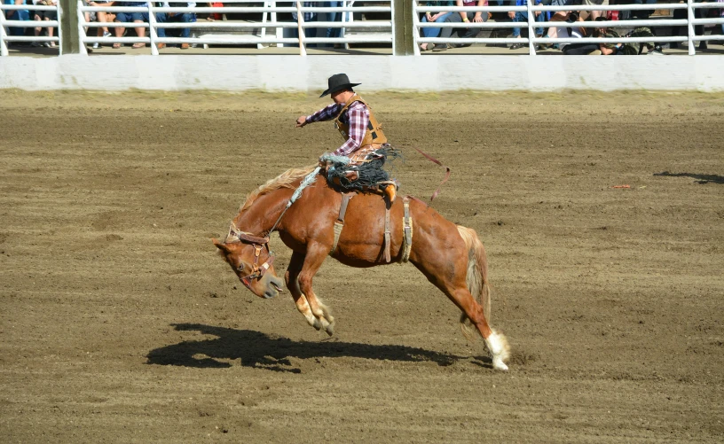 a rodeo cowboy is riding his horse with a crowd behind