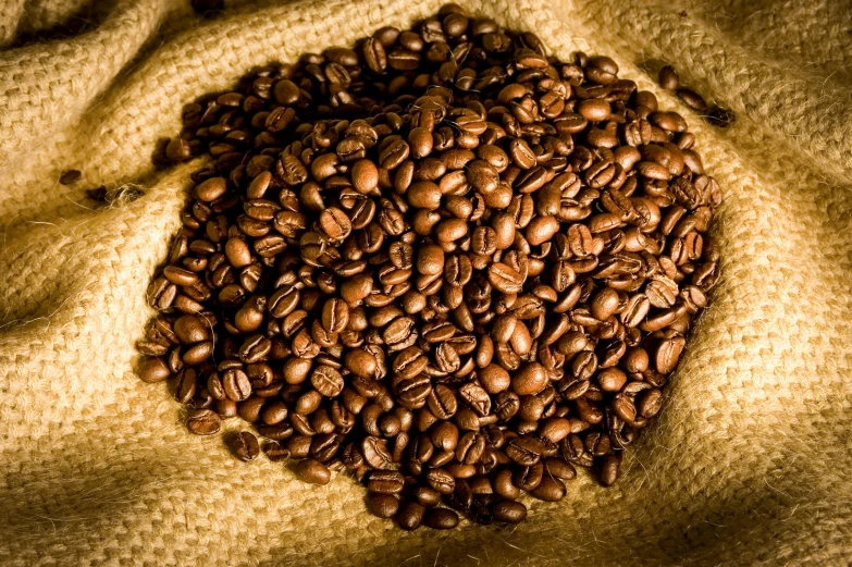 coffee beans laid out on the fabric