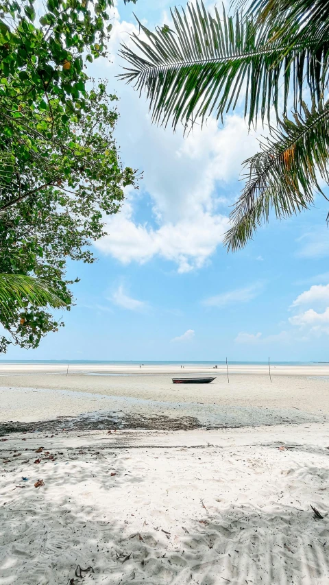 there are two canoes at the beach that has no people on it