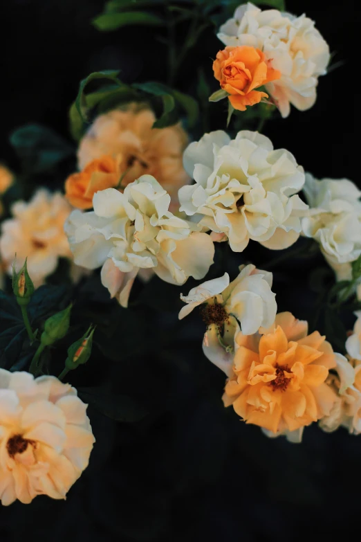 some flowers are yellow and red with green leaves