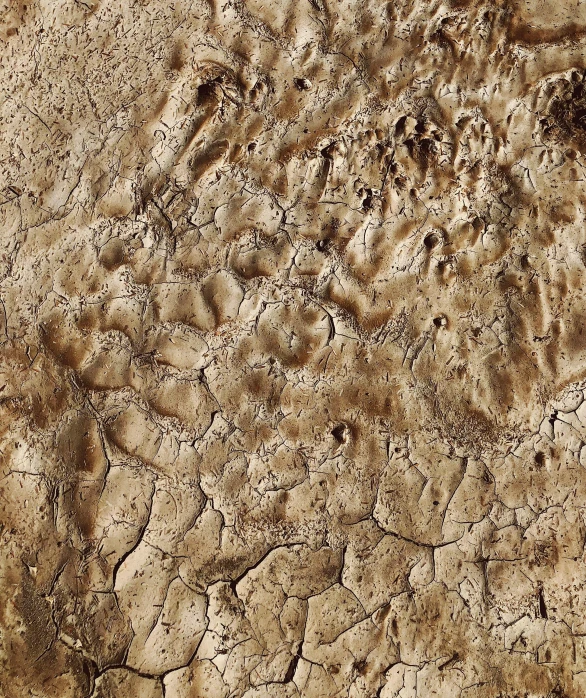 a dirt texture that is brown and black