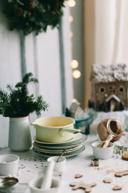 plates, dishes and a potted plant are scattered across the table