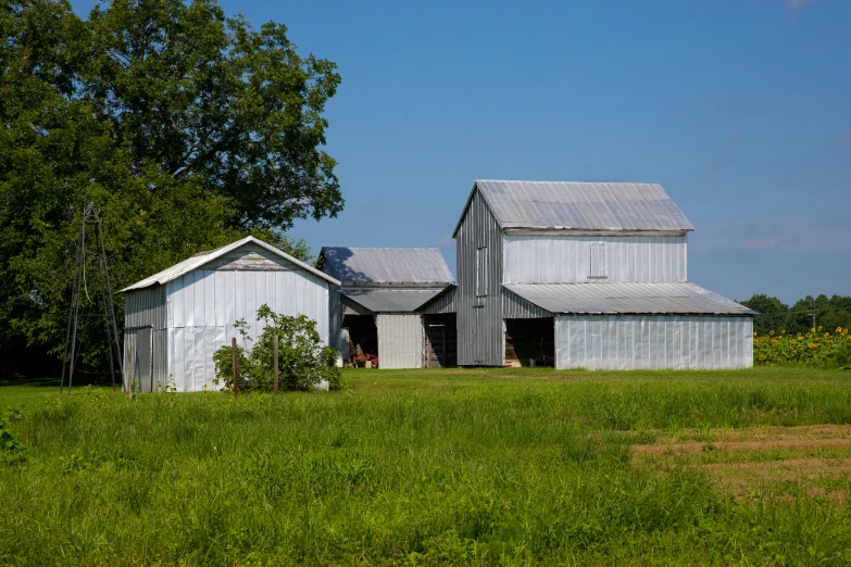 two farm houses sit in a grassy field