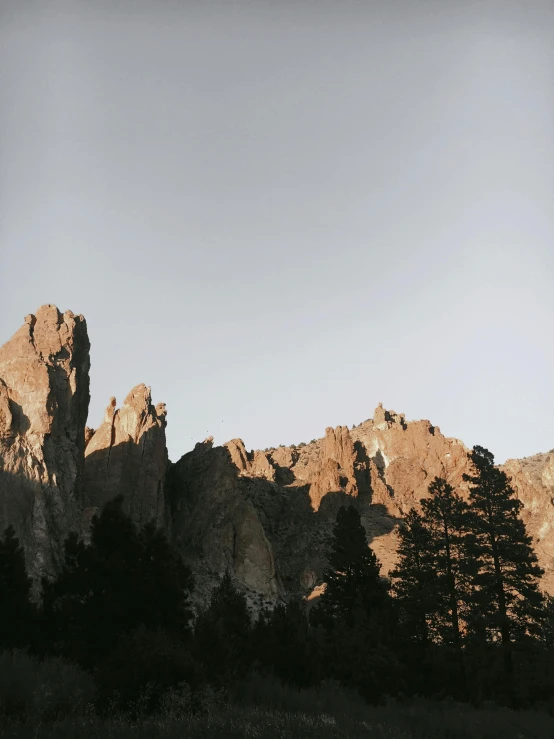 a hill and some trees on a sunny day