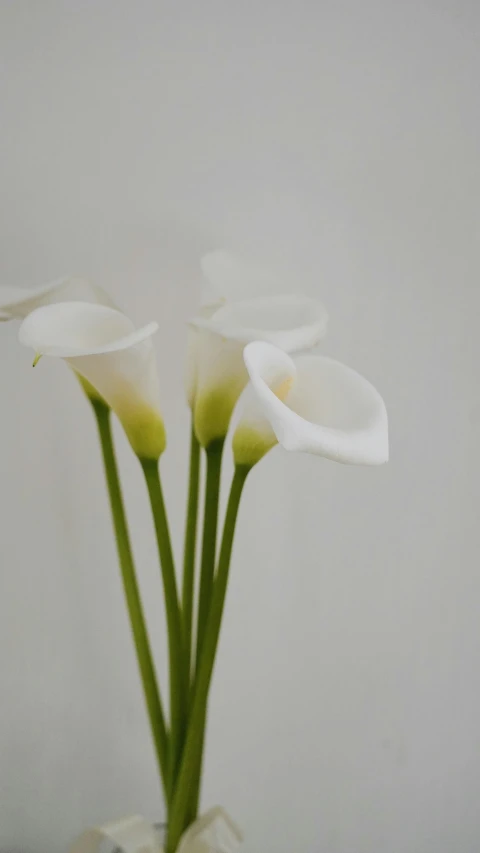 four flowers in a white vase sitting on a table