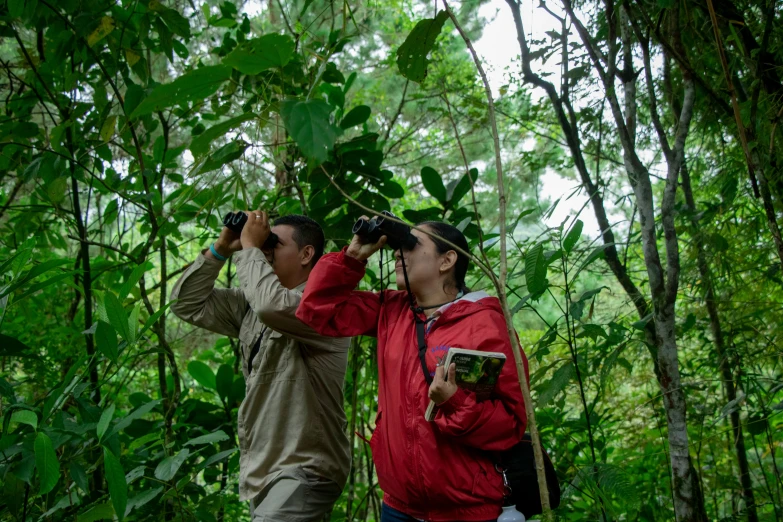 a man and woman looking through binoculars in the jungle