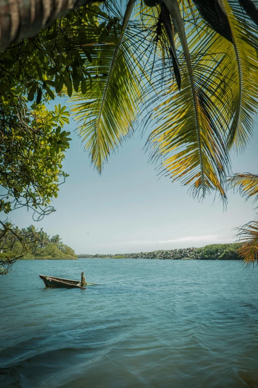 a person on a boat in a body of water with a palm tree