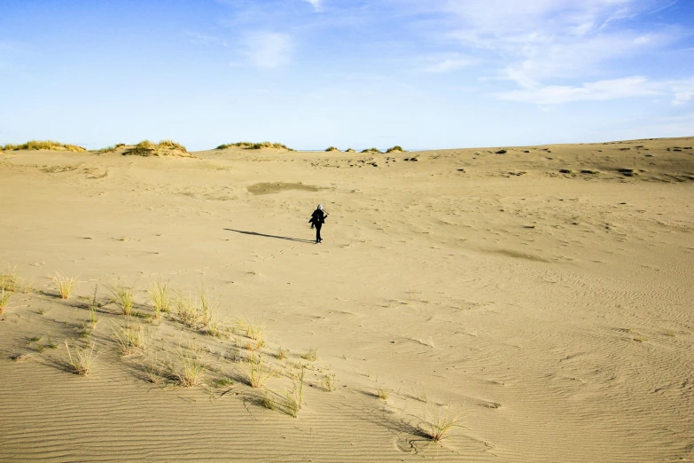a person stands alone in an empty desert