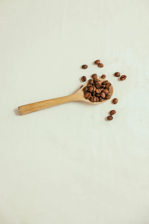 brown speckled seeds scattered out of a wooden spoon