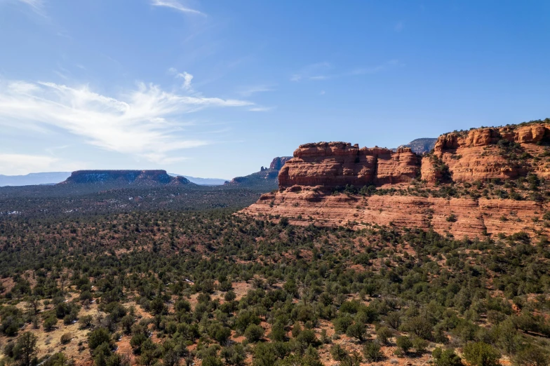 trees and cliffs with a sky in the background