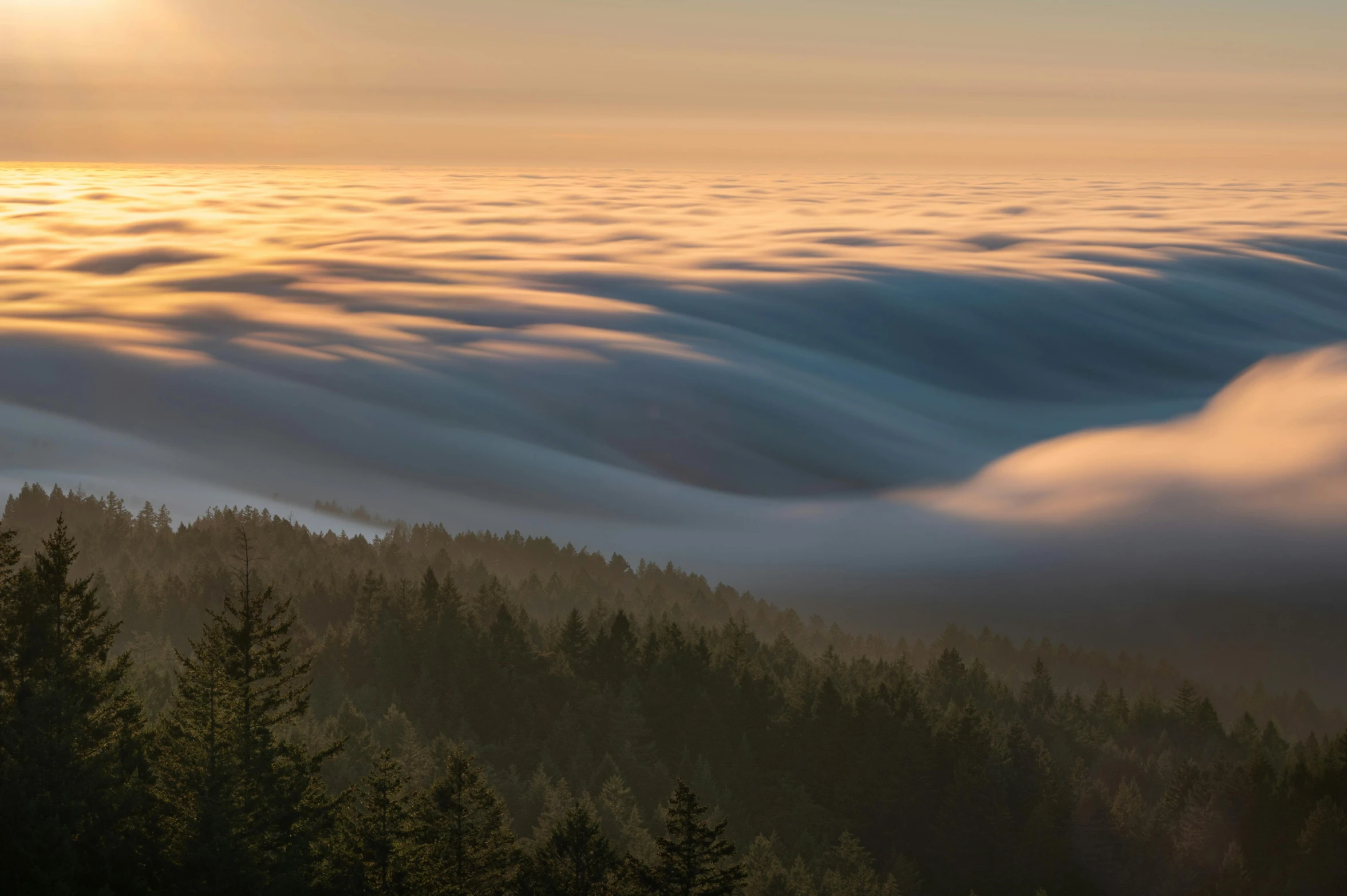 the sun shines on top of the clouds as they hang over the trees