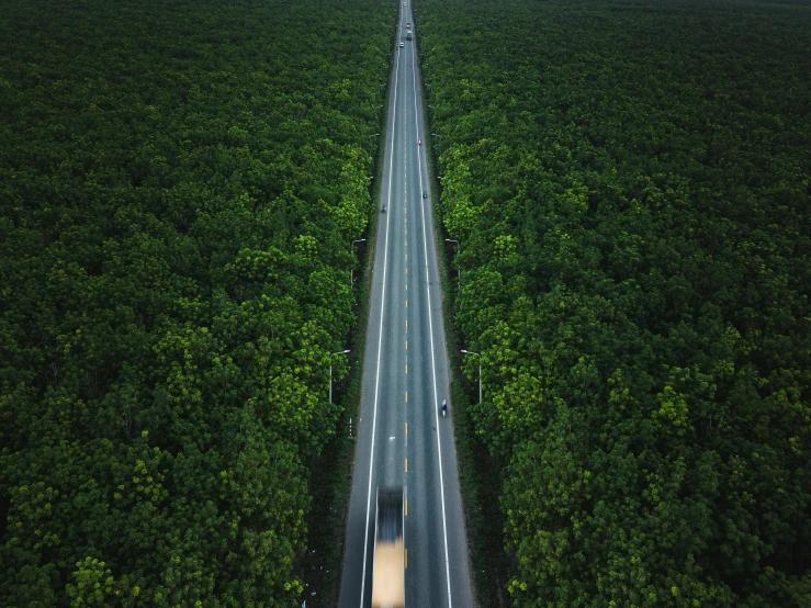 a semi truck driving down a road between tall trees