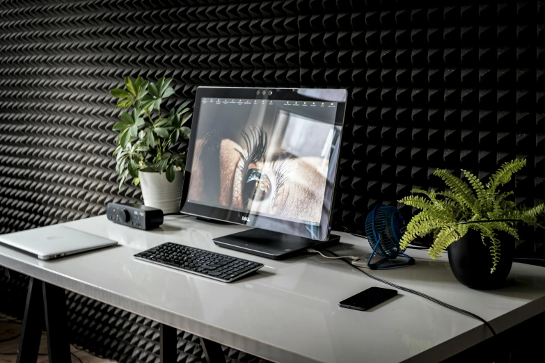 computer monitor next to keyboard and plant on top of desk